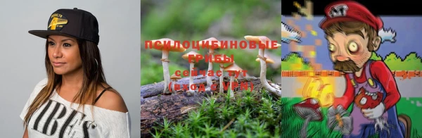 СК Вяземский