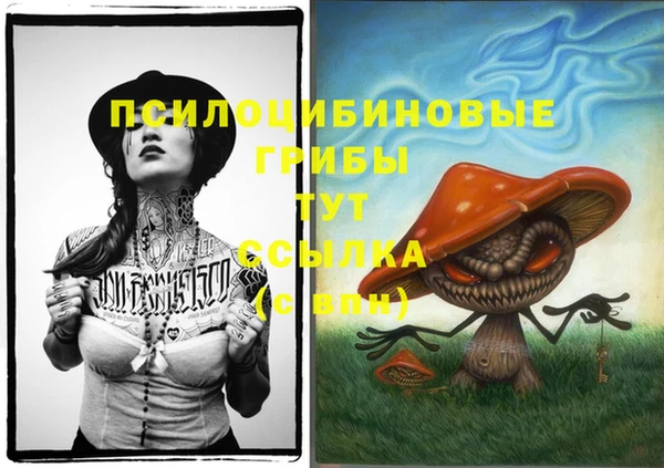 СК Вяземский