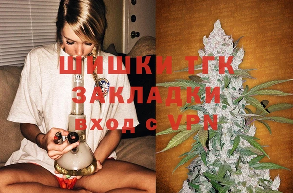СК Вяземский