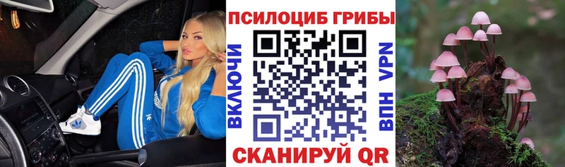 Галлюциногенные грибы Psilocybine cubensis  кракен ссылки  Мценск 