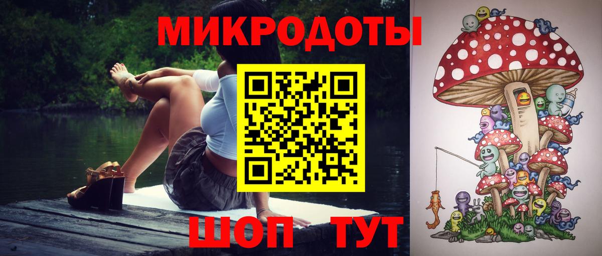 Псилоцибиновые грибы Psilocybe Мценск