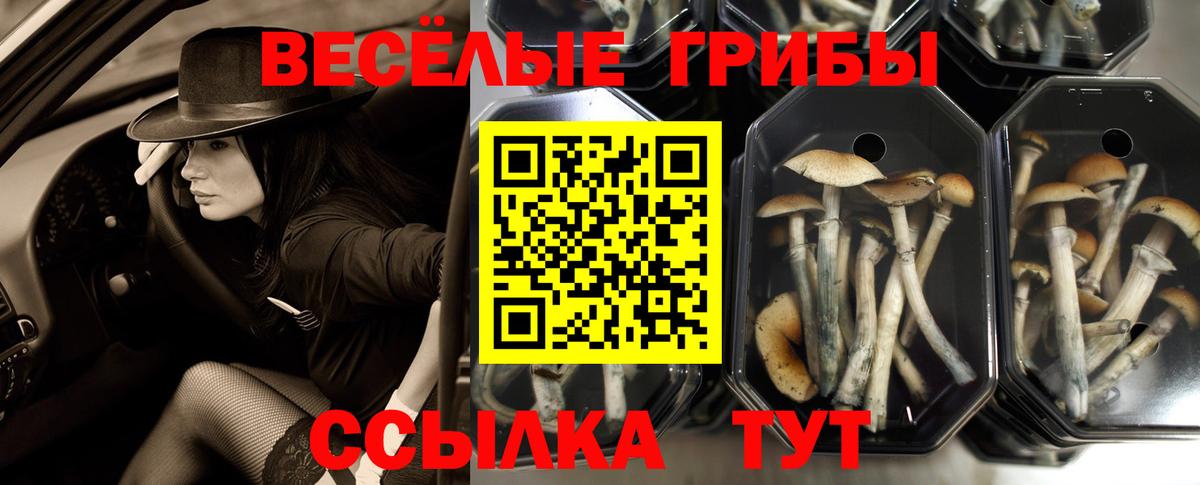 МЕФ кристаллы  Мценск  ГАШ  Вход с VPN  Купить закладку  Меф  Кокаин 